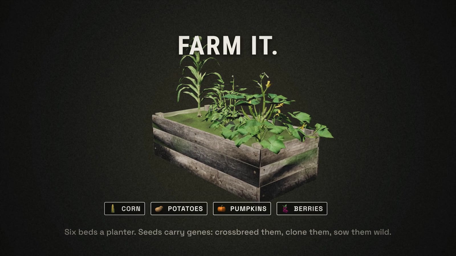 A planter box with corn, potatoes and pumpkins