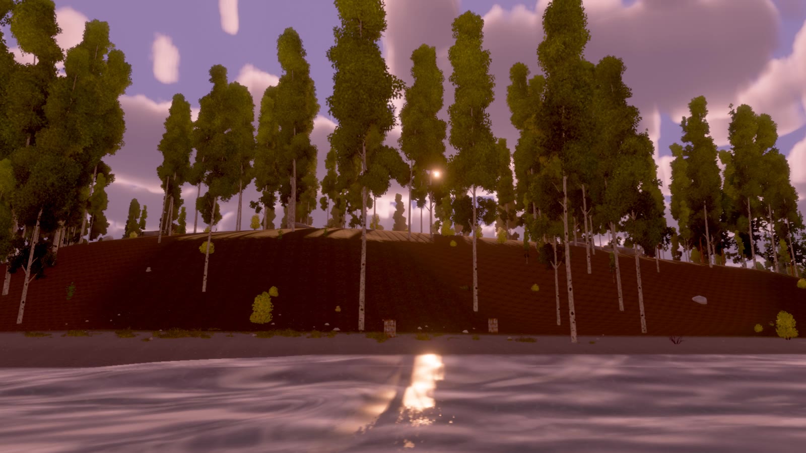 The shore from the water, at water level